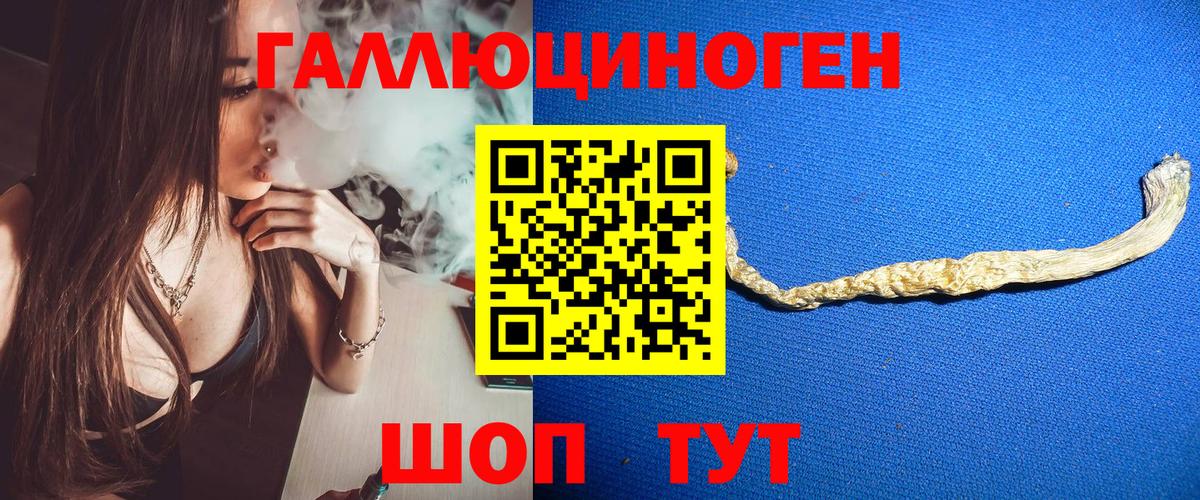 Морозовск  Псилоцибиновые грибы Psilocybe  купить наркотик  Псилоцибиновые грибы MAGIC MUSHROOMS  Вход с VPN 