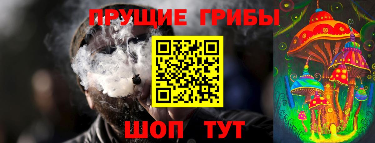 Галлюциногенные грибы прущие грибы Морозовск